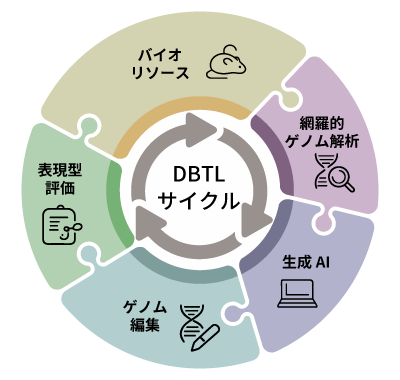 DBTLサイクル