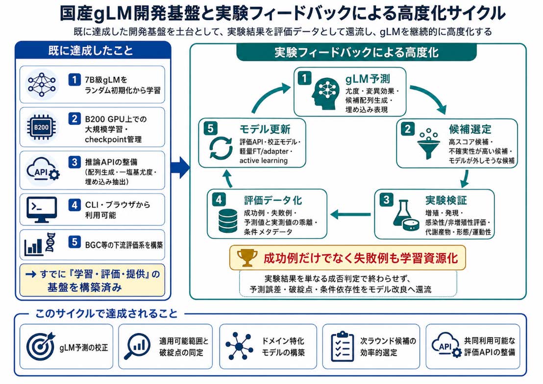 図 国産gLM開発基盤と実験フィードバックにおける高度化サイクル